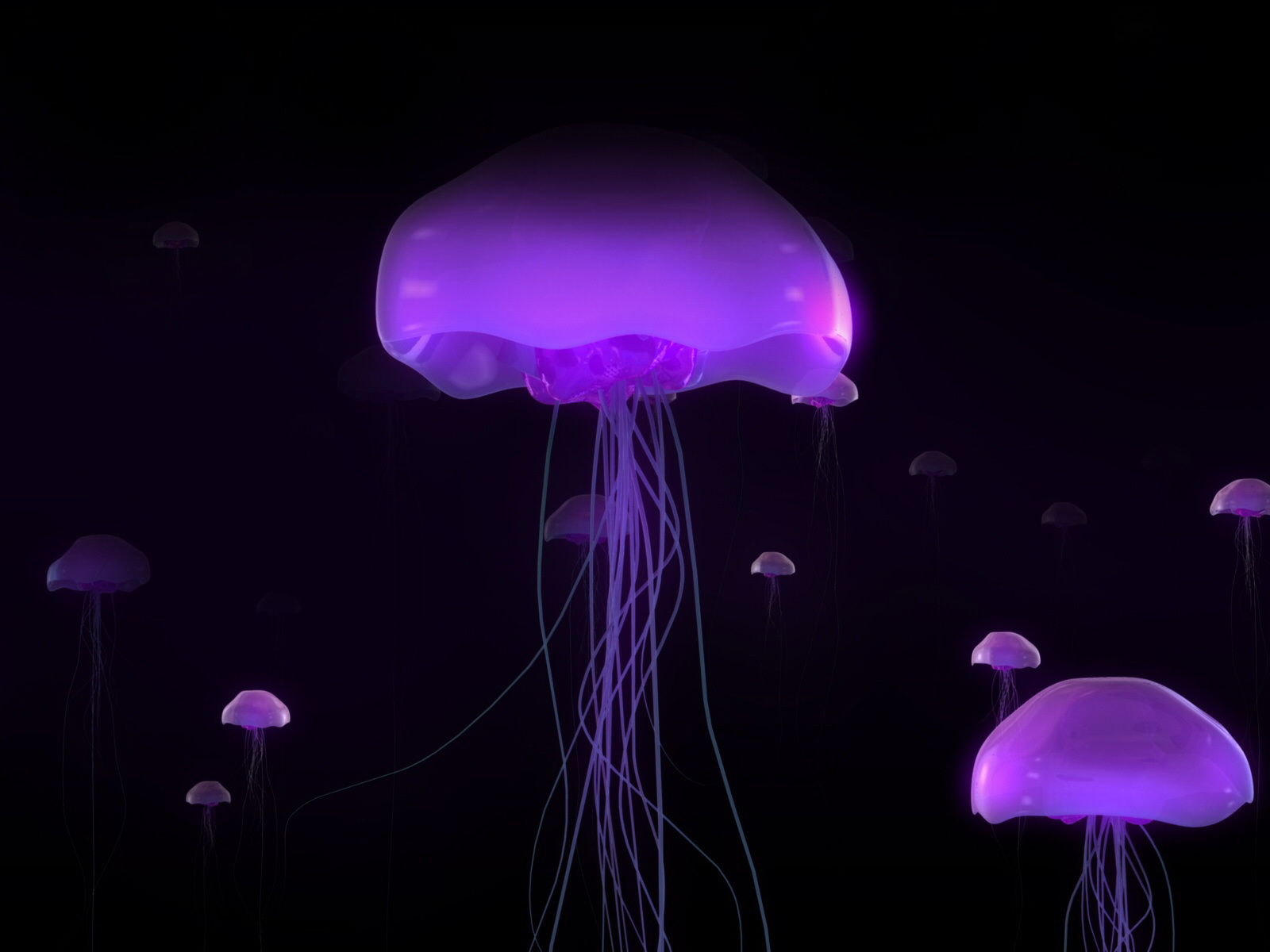 Beautiful African Animals Safaris: Jellyfish Migration with ... for Cute Deep Sea Creatures
83fiz Beautiful African Animals Safaris: Jellyfish Migration with ... for Cute Deep Sea Creatures
83fiz